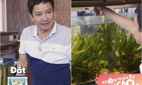 Danh hài Chí Trung khoe bể cá 24 triệu, vui thú tuổi già trong "gia trang"