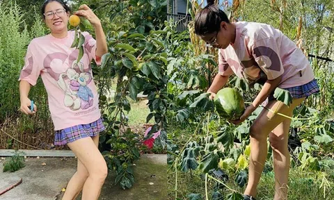 Sao Việt 24h: Trang Trần mặc váy ngắn "cũn cỡn" khi dọn vườn thuê ở Mỹ với mức lương 20 đô/1 giờ