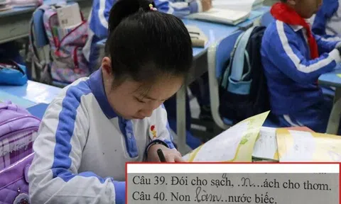 Loạt đáp án thành ngữ “Của ít, lòng…”  của học sinh tiểu học khiến giáo viên “khóc thét”, dân mạng cười bò