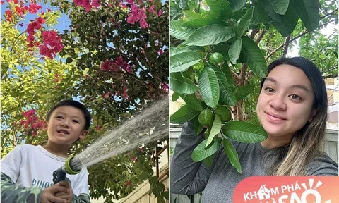 Ngôi nhà của Phi Nhung ở Mỹ nở đầy hoa, cháu ngoại tưới cây bà quá cố trồng nhìn mà thương