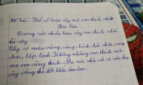 Cô giáo giao đề văn kể về loài cây yêu thích, bé tiểu học viết một cái tên mà nhà nào cũng muốn sở hữu