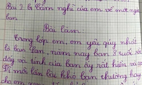 Con gái làm văn kể về người bạn ngồi cạnh, tiết lộ chuyện dại dột khiến cô giáo lập tức nhắn tin cho phụ huynh