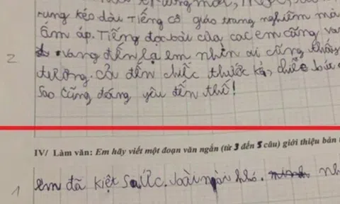 Cô giáo ra đề làm văn giới thiệu bản thân, bé tiểu học viết 4 từ khiến giáo viên câm nín