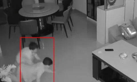 Kiểm tra camera trong nhà lúc sáng sớm, mẹ trẻ giật mình khi phát hiện 2 bóng người lén lút bò vào phòng khách