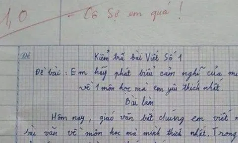 Viết văn kể về môn học yêu thích nhất, bé tiểu học ẵm trọn 1 điểm, cô giáo bày tỏ nỗi sợ