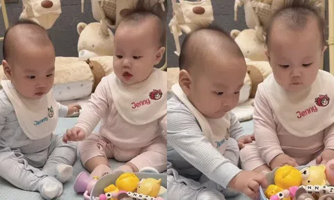 Sau đoạn clip 1 phút, cặp sinh đôi Jimmy Jenny 5 tháng tuổi nhà Phương Oanh Shark Bình hút hàng chục ngàn lượt yêu thích