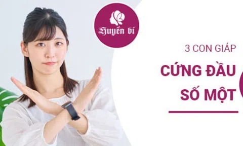 Top 3 con giáp "cứng đầu" nhất: lời khuyên như nước đổ lá khoai