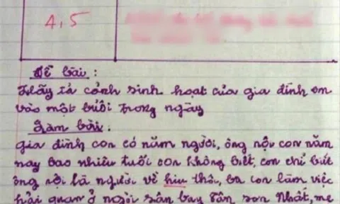 Viết văn tả cảnh sinh hoạt của gia đình, bé tiểu học nhận 4,5 điểm, ai đọc cũng lắc đầu khó hiểu