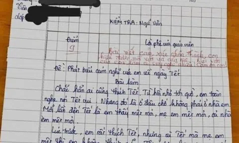 Bé học sinh viết văn phát biểu cảm nghĩ “em không thích Tết”, cô giáo đọc xong liền chấm ngay 9 điểm