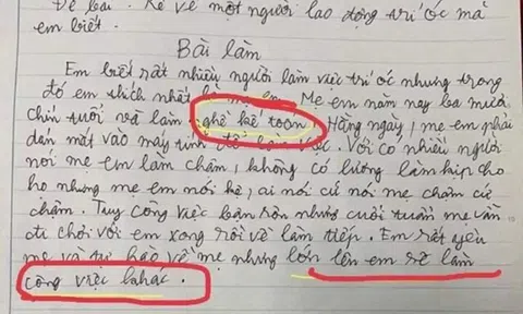 Viết văn kể về công việc của mẹ, bé tiểu học khiến cô giáo ngã ngửa khi đọc đến kết bài, phụ huynh đỏ mặt