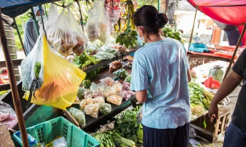 Loại rau ở Việt Nam được thế giới ca ngợi, xưa vốn cho lợn ăn giờ thành “thần dược” cho trẻ, giá chỉ 18.000 đồng/kg