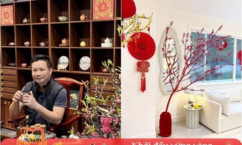 Shark Hưng trưng đào tiến vua, Vân Trang chơi hoa trắng muốt, Việt Hương lại muốn cho cây "nằm máy lạnh" trong biệt thự