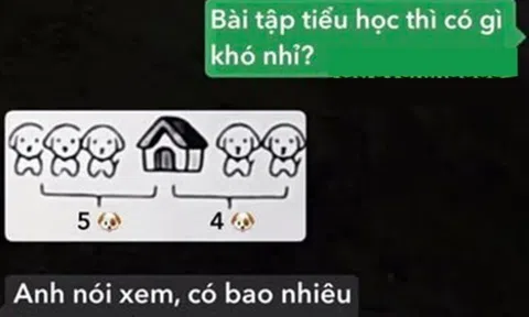 Bài toán tiểu học "Có bao nhiêu con chó trong bức ảnh?", bố trả lời 5 con khiến mẹ “chán hẳn”