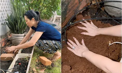 Á hậu ở nhà 10 tỷ để tay trần làm đất trồng rau, từng khoe khu vườn bội thu của chồng đại gia