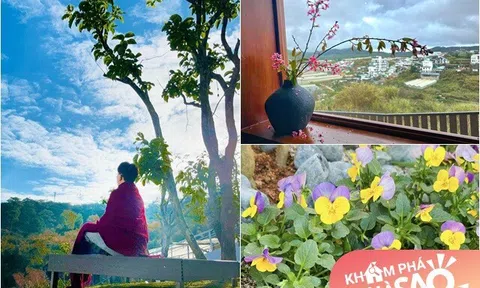 "MC giàu nhất Việt Nam" khoe cơ ngơi mới đầy hoa cỏ: Ai cũng mong một chốn bình yên thơ mộng như thế