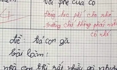 Bài văn tả gà của học sinh lớp 3 khiến cô giáo tức giận ngay câu thứ 2, cho điểm kém kèm nhận xét cực gắt