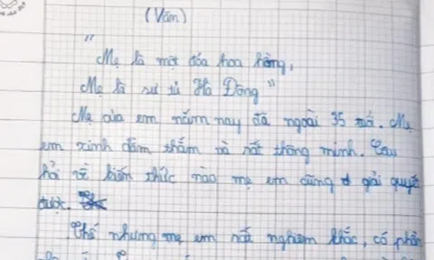 Bài văn tả mẹ gây sốc ngay từ câu đầu tiên, đọc đến đoạn kết mới thấy em học sinh quá thông minh