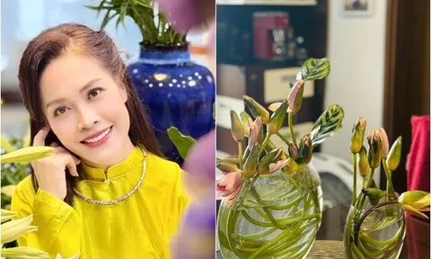 Nữ BTV VTV cắm hoa ngập nhà, loài hoa đỏng đảnh "ngủ gục" cũng không làm khó được bà mẹ 2 con