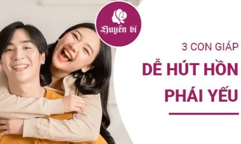 Điểm danh 3 con giáp nam "đốn tim" chị em ngay từ lần gặp đầu tiên