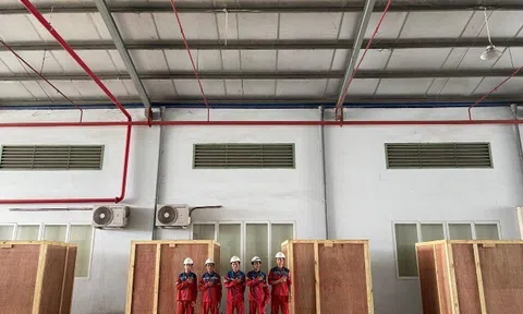 Tiết kiệm chi phí với dịch vụ đóng thùng gỗ xuất khẩu đạt chuẩn ISPM 15 tại Kiến Đỏ