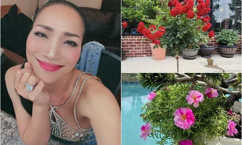 Hồng Ngọc "Mắt nai cha cha cha" khoe hàng loạt cây trong biệt thự triệu đô, nhưng nhìn ảnh cuối ai cũng thót tim