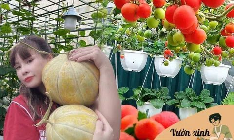 Mẹ đảm Hà Nội từng bị trêu chỉ trồng rau được "dăm bữa nửa tháng", giờ có hẳn 2 khu vườn xanh mướt trên sân thượng