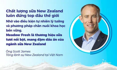 Sữa tươi Meadow Fresh 100% nguyên chất từ New Zealand khoác diện mạo mới