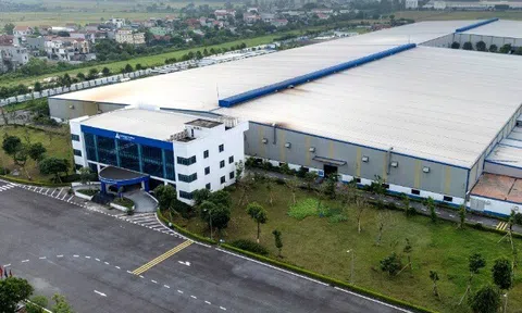 “Beluga - Hè xanh mát, Nước trong lành”: Tân A Đại Thành cùng bạn bảo vệ nguồn nước gia đình