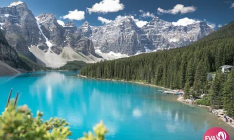 Banff - Cuộc phiêu lưu giữa rừng thông và động vật hoang dã