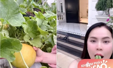 Vợ Hoa hậu của NSƯT Vũ Luân khoe vườn rau "ê hề" trong biệt thự 200 tỷ, ăn dưa ngay tại vườn