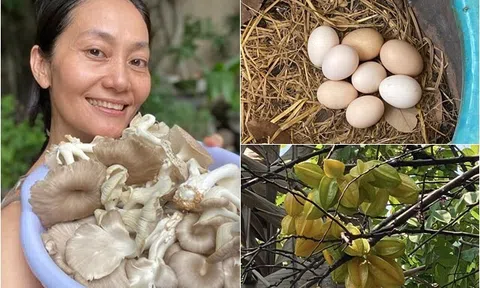 Nữ NSƯT khoe khu vườn nhỏ giản dị mà nhiều cây trái, rổ trứng gà đầy ắp nhưng dân mạng lại thắc mắc