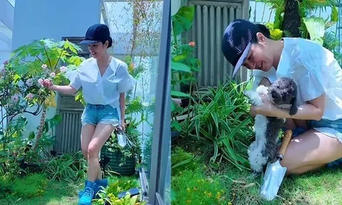Sao Việt 24h: Diva Hồng Nhung khoe vườn hoa quả ở penthouse mới, khoe diện mạo sau 3 lần xạ trị chữa ung thư
