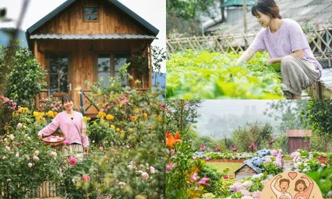 Cô gái 9X Yên Bái bỏ phố về quê, dành 4 năm làm nhà vườn đẹp như tranh