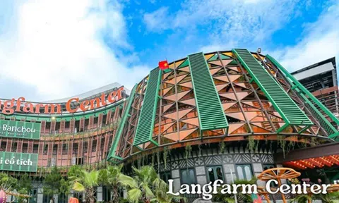 Tour Hot mùa hè 2025: Tour Đà Lạt săn mây và Tour Nha Trang Vinwonders