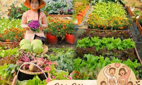 9X bỏ việc kế toán về trồng rau, tạo nên khu vườn 500m2 xanh mướt, đủ loại rau trái giữa lòng TP.HCM
