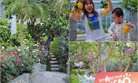 Khu vườn mùa hè ở biệt thự trên núi của vợ chồng diễn viên Mạnh Trường: Hoa giăng lối, cây trĩu quả