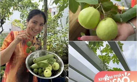 MC Cát Tường tạm biệt ngôi nhà đã ở 8 năm, thu hoạch lần cuối ở khu vườn xanh mướt trước khi dọn đi