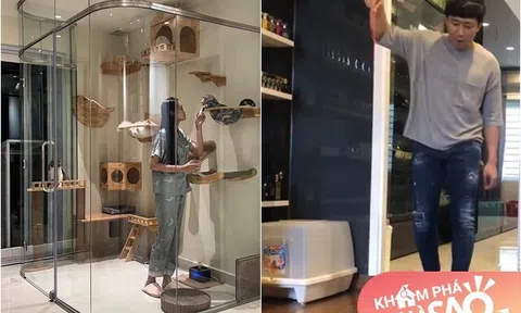 Điểm giống nhau giữa nhà của Trấn Thành - Anh Đức, liên quan đến sở thích của 2 cô vợ xinh đẹp