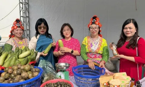 Giao lưu kết nối sinh kế: Động lực thúc đẩy phát triển kinh tế cho phụ nữ dân tộc thiểu số tại Điện Biên