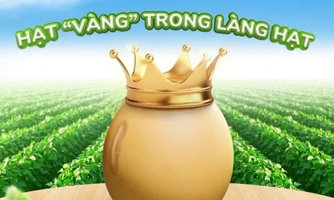 Vì sao đậu nành được xướng danh là hạt “vàng” trong làng hạt?