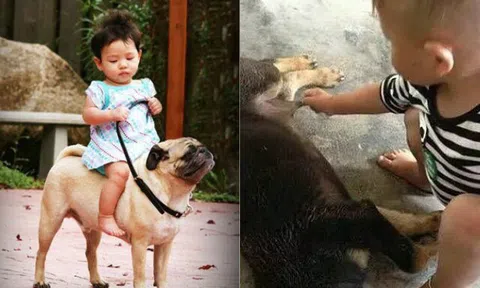 Cười bể bụng với loạt kiếp nạn của "khối trông nhà" khi chăm "khối nghỉ hè"