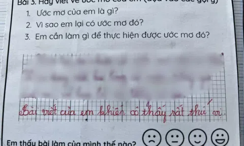 Viết văn nói về ước mơ, bé tiểu học chỉ viết 2 câu đã khiến cô giáo khen “rất thú vị”, dân tình nể phục