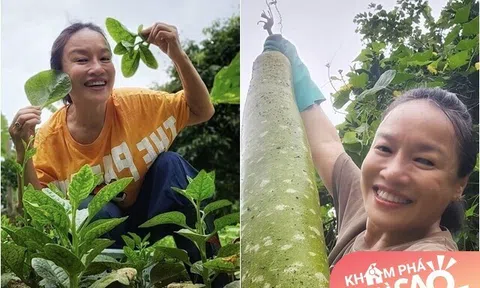 "Mẹ" Phương Oanh - Hương Vị Tình Thân: Đời thực có khu vườn xanh mướt, khoe từng cọng rau giản dị