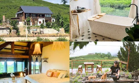 Bỏ phố về cao nguyên, cặp vợ chồng trẻ chi 2 tỷ đồng xây ngôi nhà gỗ đẹp như tranh giữa đồi chè xanh ngát