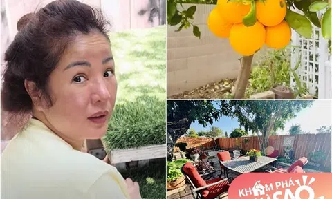 Thúy Nga móc rác, lao động vất vả để chuẩn bị dọn về nhà vườn hàng chục tỷ: Cảnh phía sau đẹp nên thơ
