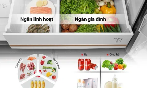 Tủ lạnh chuẩn Nhật Toshiba NaturePURE 711L chăm sóc gia đình Việt