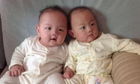 Sinh đôi nhưng diện mạo khác nhau, một bé da đen một bé da trắng, chồng lén vợ xét nghiệm ADN, kết quả khó tin