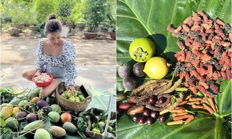 "Mỹ nhân ngư" của showbiz Việt sở hữu khu vườn 10.000m2: Giờ chẳng màng hư danh, chỉ thích ngồi nhổ cỏ ươm cây