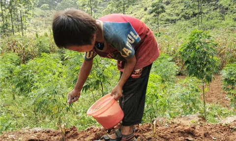 Về quê đón con lên phố sau 1 tháng nghỉ hè nhà chị dâu, tôi thất kinh khi con sống “khổ sở” mỗi ngày