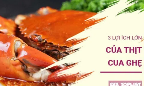 Không chỉ ngon miệng: Khám phá 3 lợi ích "vàng" của cua - ghẹ đối với sức khỏe mà ít người biết đến
